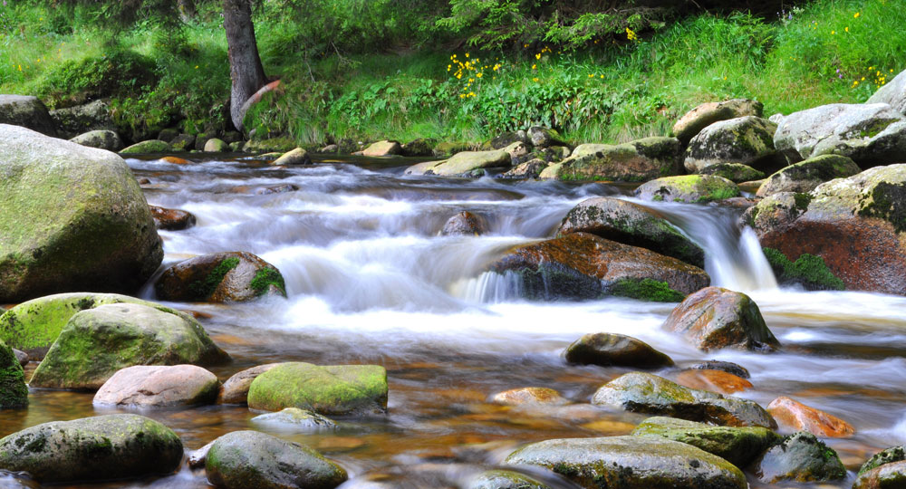 Ausflugtipps im Bayerischen Wald